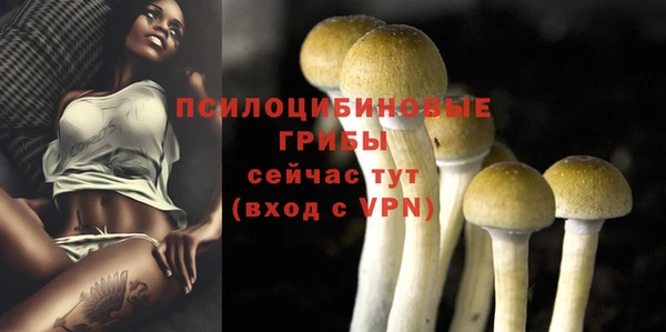 ALPHA PVP Баксан
