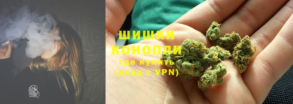 ПСИЛОЦИБИНОВЫЕ ГРИБЫ Балахна