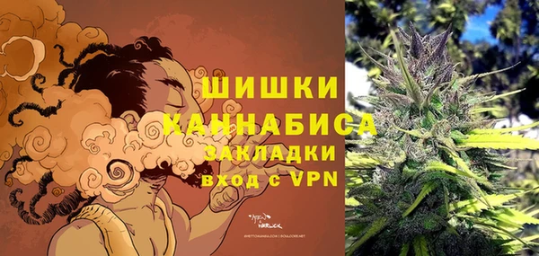 мдпв Балабаново